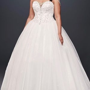 Brand New, never worn David’s Bridal dress!